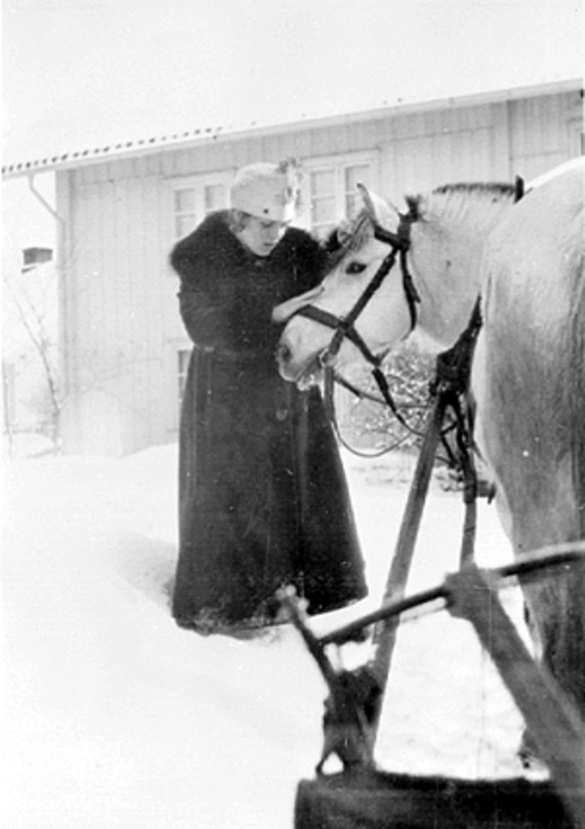 Anno Domkirkeodden, UNG DAME ALFHILD LØKEN KLAPPER HEST
