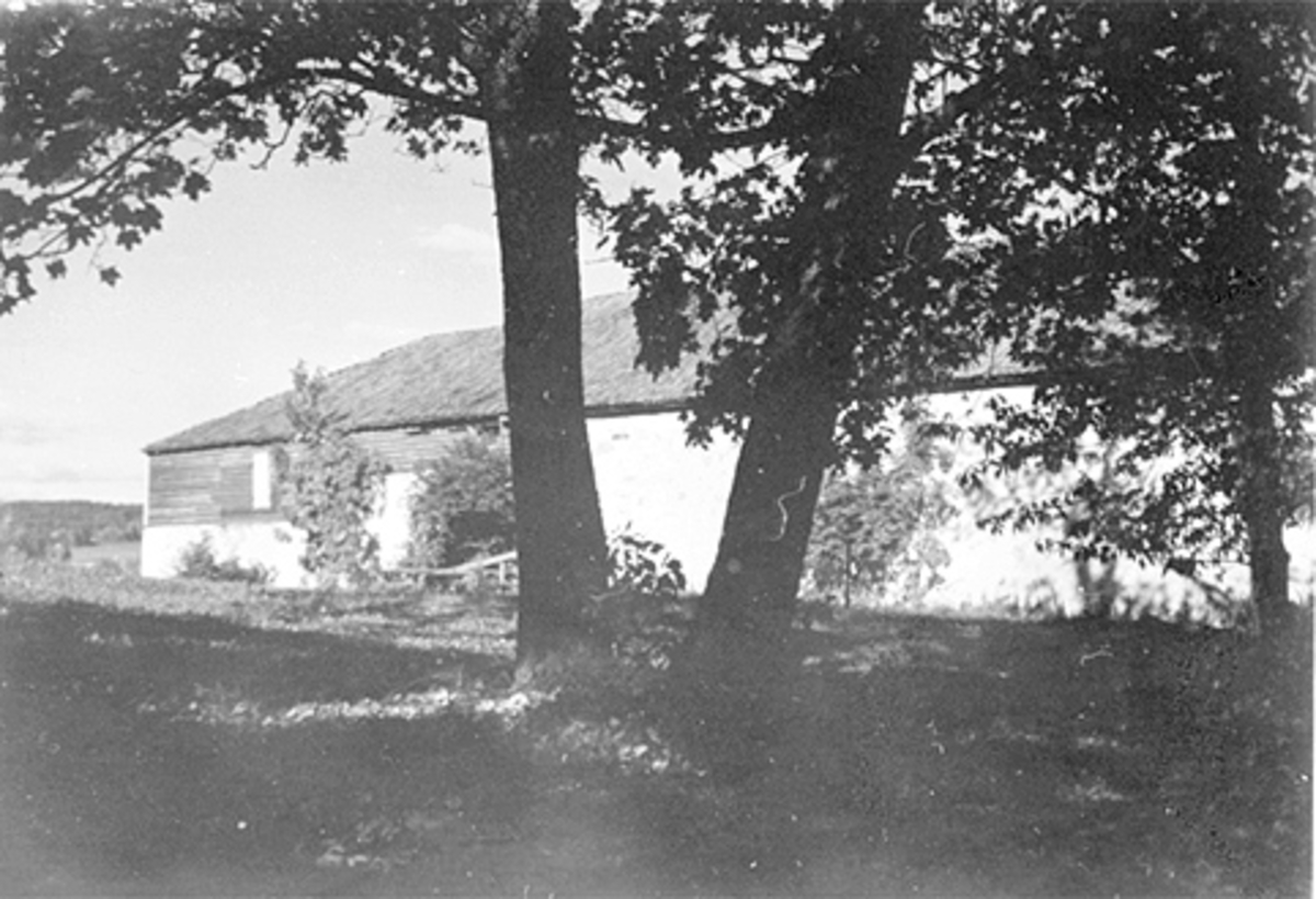 Anno Domkirkeodden, EKSTERIØR, VESTVEGGEN STORHAMARLÅVEN, DOMKIRKEODDEN