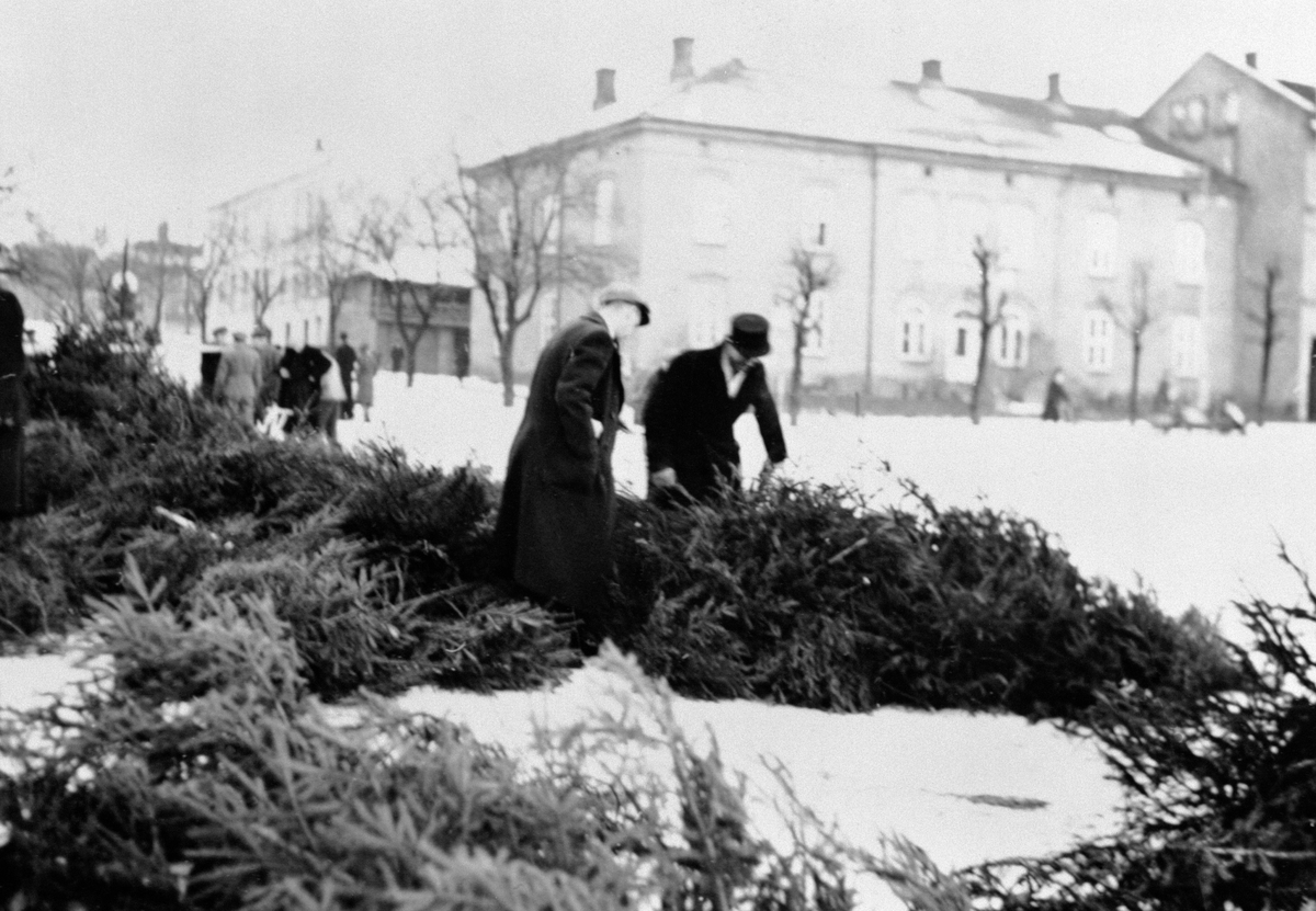 Anno Domkirkeodden, JULETRESALG, STORTORGET, KAFE ROYAL, VINTERFørste julen etter frigjøringen, da alle skulle ha segjuletre