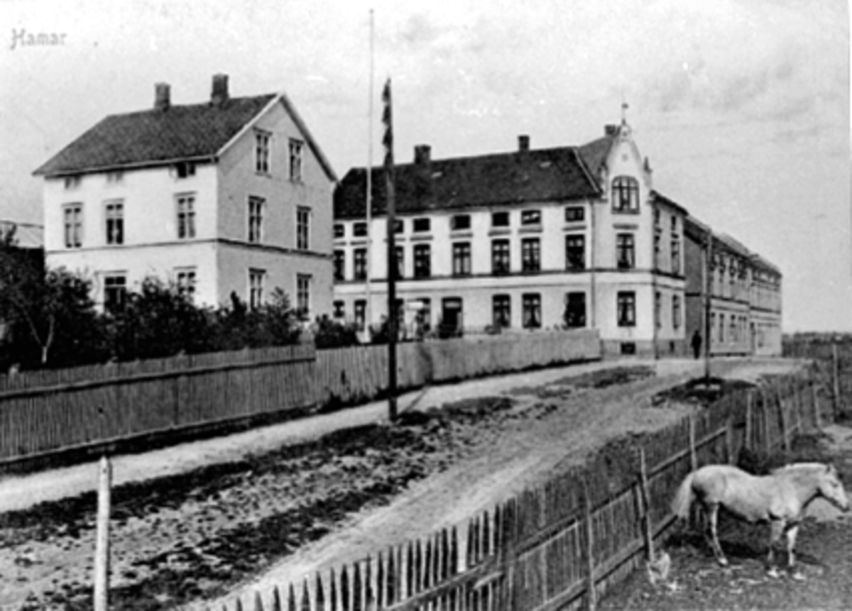 Anno Domkirkeodden, OVERSIKT, SVERRESGT. /P. SANDVIKSGT. 31, P. SANDVIKSGT. 42, HEST