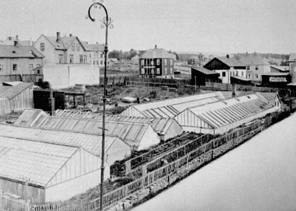 Anno Domkirkeodden, O. Fuglseths gartneri, drivhus, Vangsvegen, Hamar.
