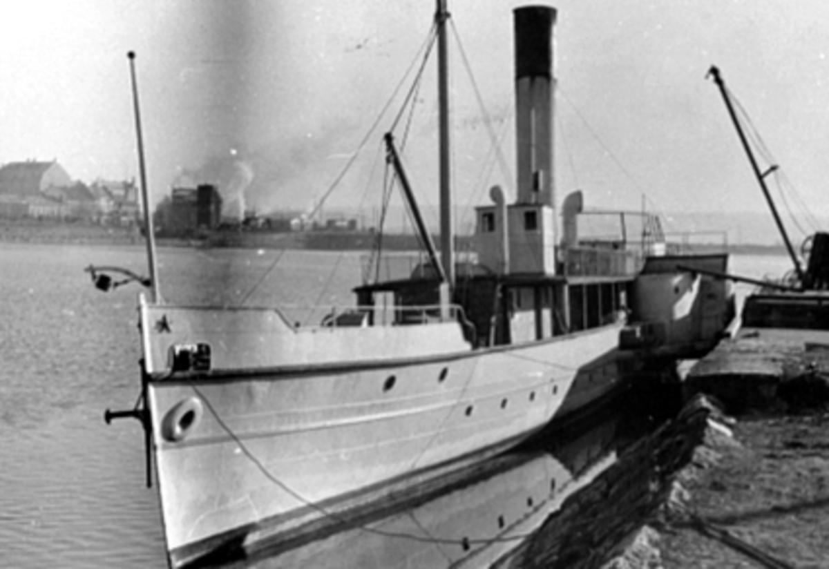 Anno Domkirkeodden, D. S. SKIBLADNER, HAMAR BRYGGE, HEISEKRAN, JERNBANEBRYGGA I BAKG.