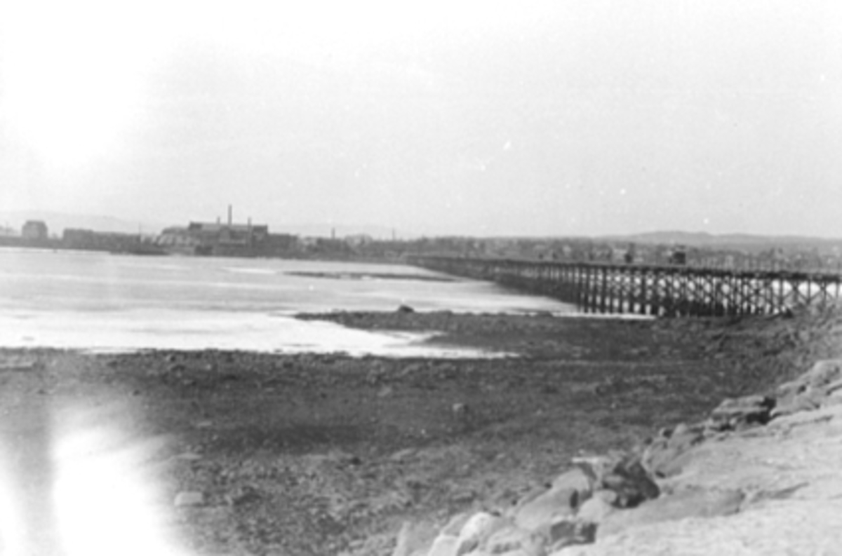 Anno Domkirkeodden, OVERSIKT STANGEBTUA MOT HAMAR, TREBRU