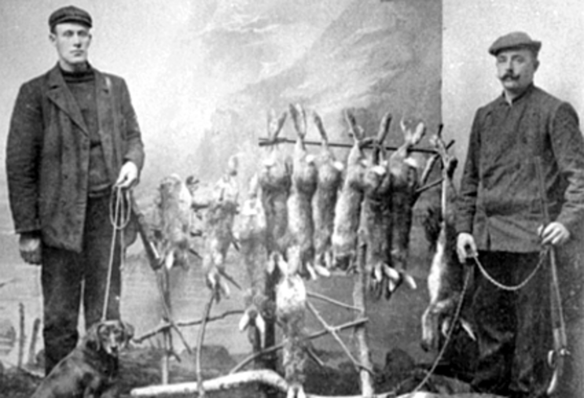Anno Domkirkeodden, GRUPPE, 2 HAREJEGERE I STUDIO, JAKTHUNDER, TIL VENSTRE: LUDVIG NILSEN