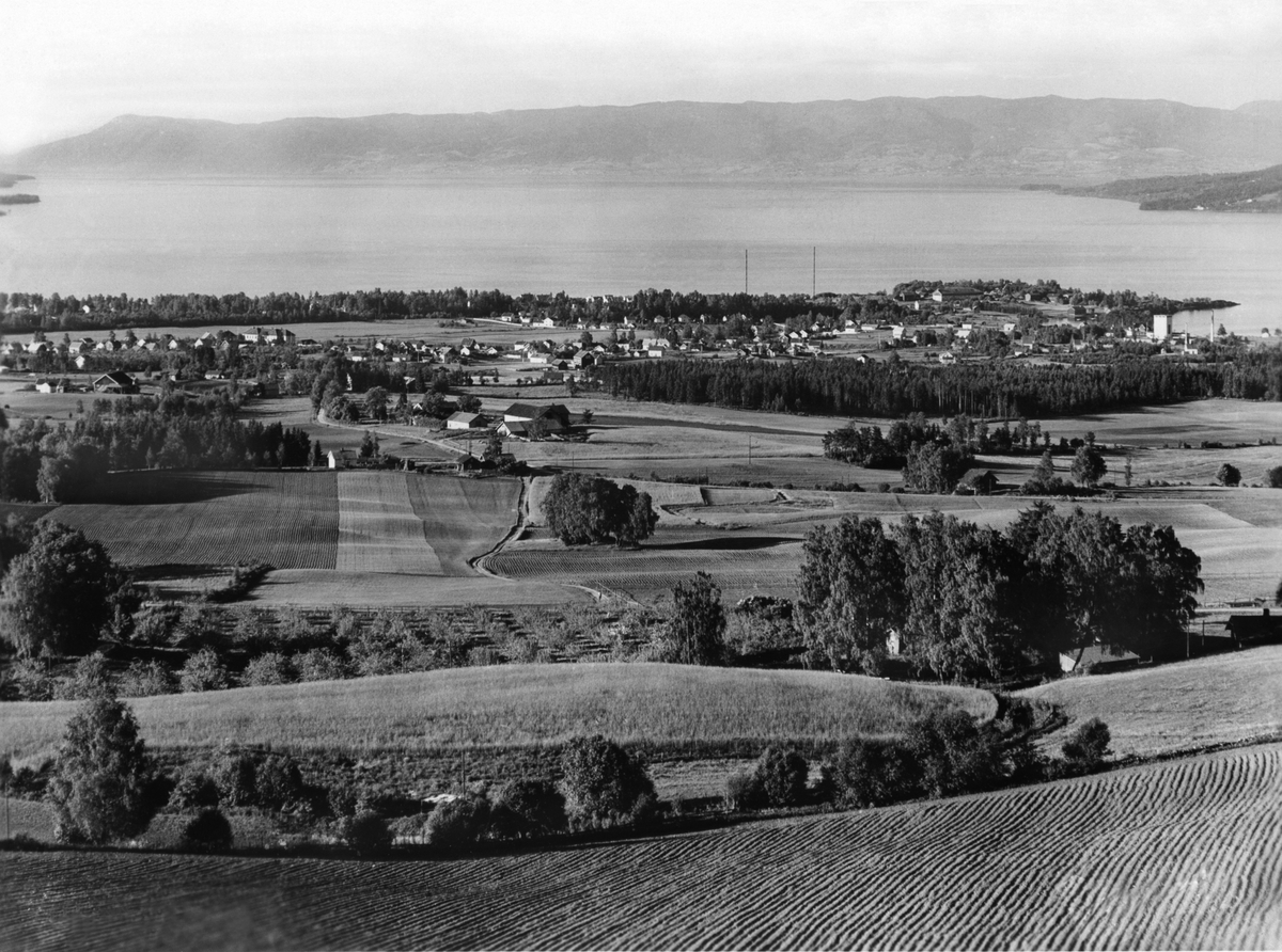 Anno Domkirkeodden, OVERSIKT STORHAMAR, UTSIKT FRA ALU VESTRE, KULTURLANDSKAP, HOL GÅRD TIL HØYRE
