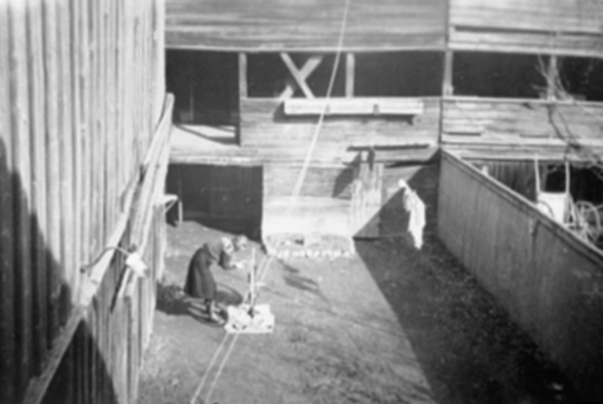Anno Domkirkeodden, BYBAKGÅRD, AGERSBORGGÅRDEN HEIDMANNSGATE 11, ADA THORUD, VÅRPUSS AV SYKKEL