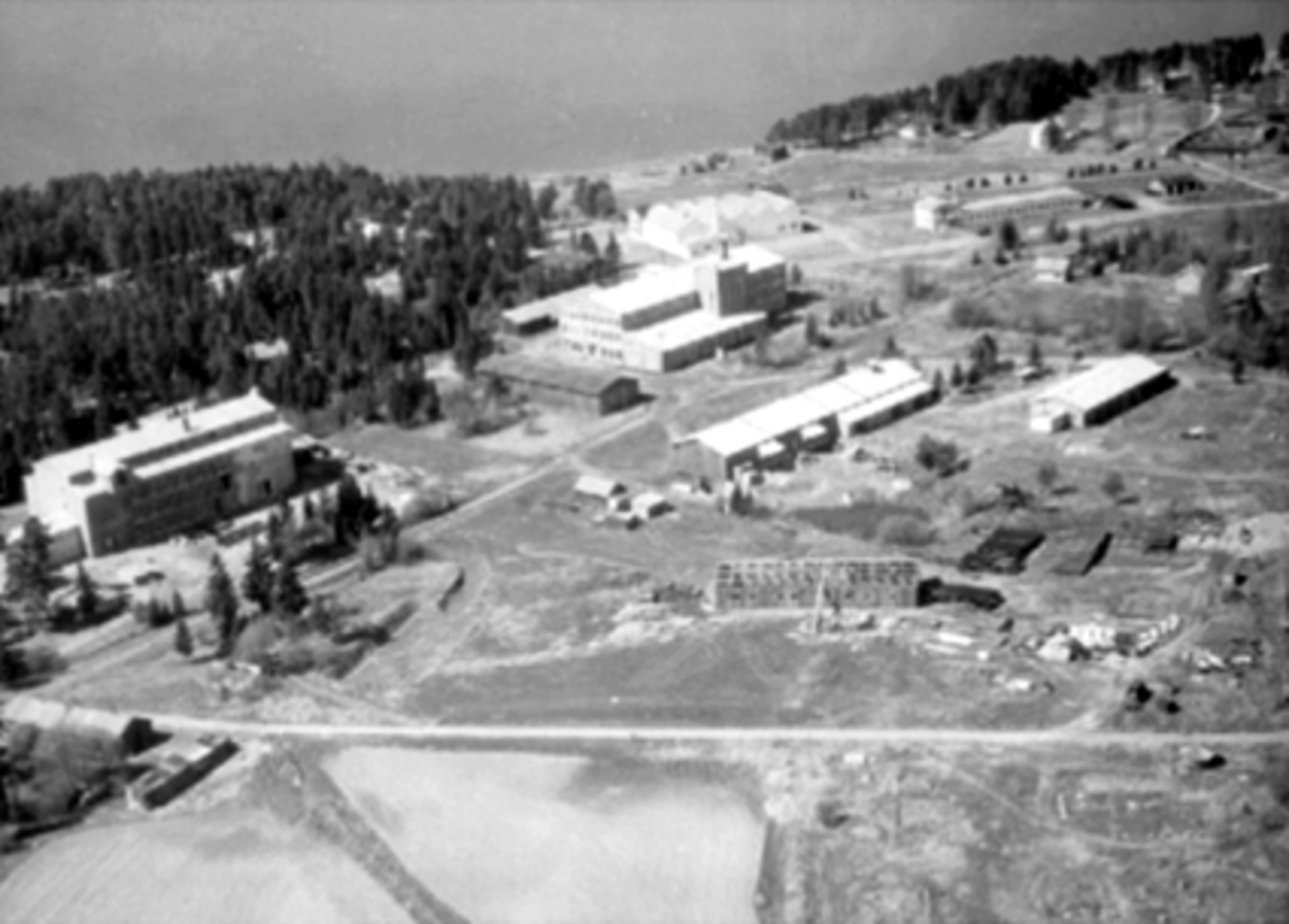 Anno Domkirkeodden, FLYFOTO, INDUSTRI PÅ MARTODDEN, MERIT, K. A. RASMUSSEN, THUNE, STRANDVEGEN, BIRKEBEINERVEGEN