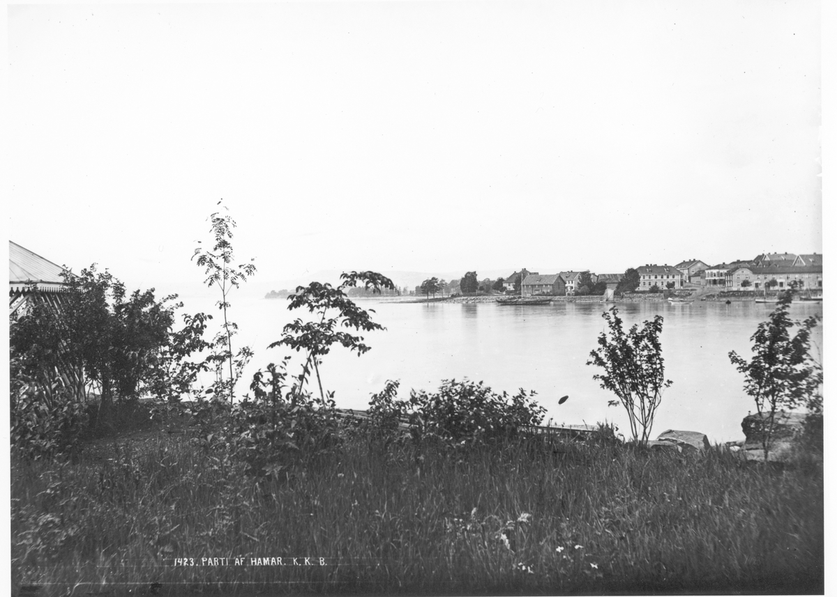 Anno Domkirkeodden, HAMARBUKTA, HØIENSALODDEN, STRANDGATEHAGENE, BYPANORAMA