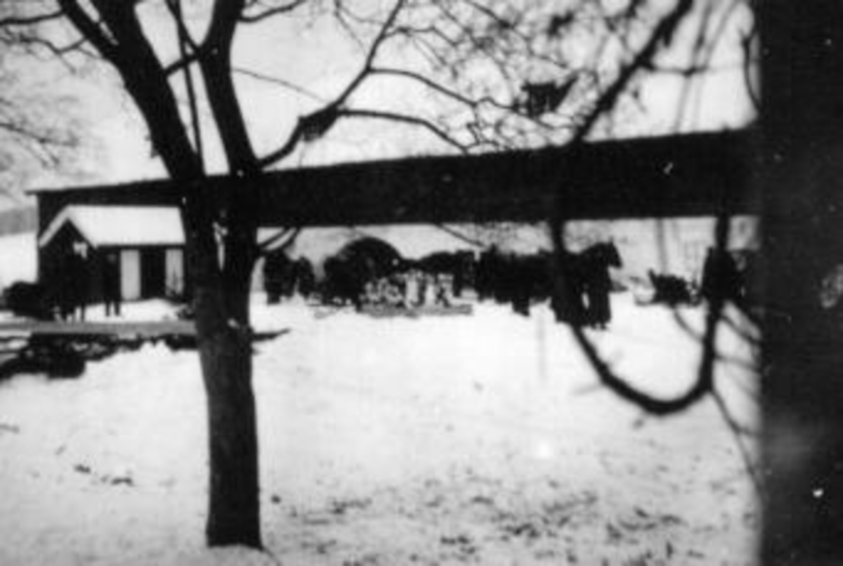 Anno Domkirkeodden, Begravelse etter Petter Rosenlund (1854-1942). Kom til Mellom-Kise, Nes, Hedmark i 1880-åra og ble her som husmann til sin død. Kisten kjøres med hest og slede på vinterføre.