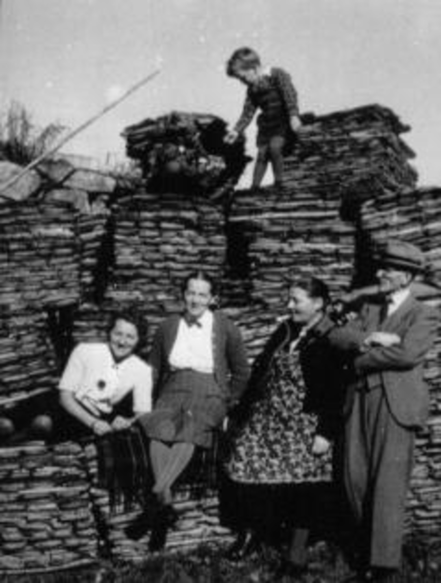 Anno Domkirkeodden, Store bunter med takflis på Mellom-Kise, Nes, Hedmark. Foran flishaugen er fra venstre Liv Nesje, fru Nesje, Anne B. Haugen, Olav Nesje. Olav Nesjes barnebarn på flisa. Nesje en kjøpmanns-familie på Gjøvik.