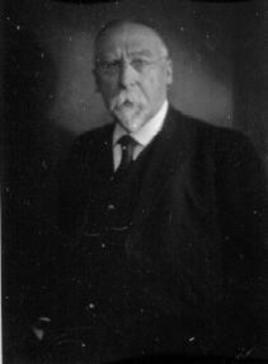 Anno Domkirkeodden, Portrett av kunstner Johan Nordhagen (1856-1956) fra Veldre, Ringsaker.