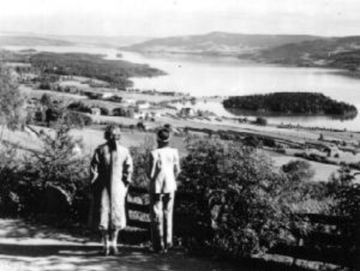 Anno Domkirkeodden, Utsikt over Ring, Vea, Steinsholmen, Mjøsa.