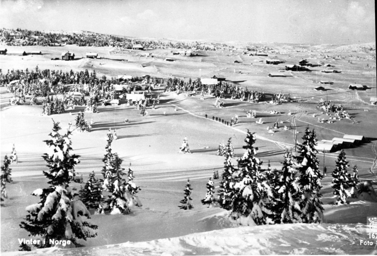 Anno Domkirkeodden, Sjusjøen, Ringsaker med hyttebebyggelse. Vinter.