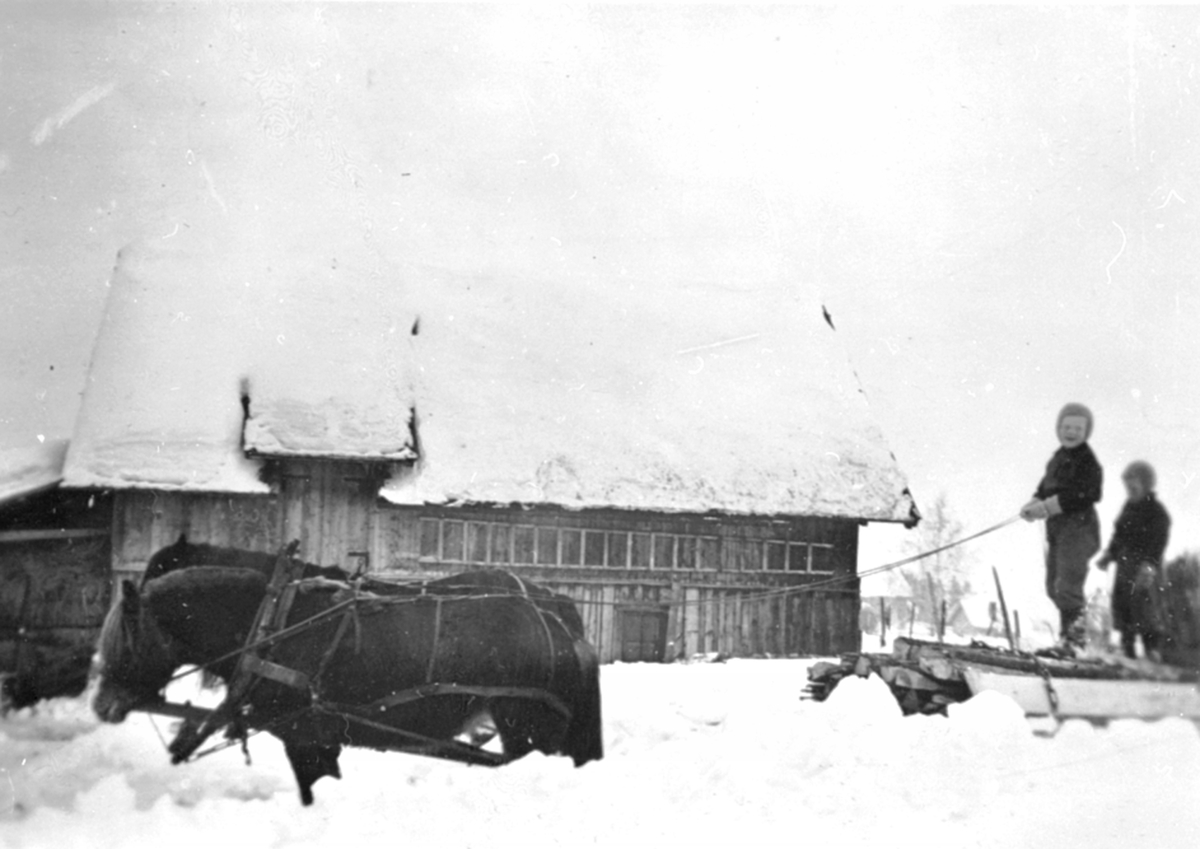 Anno Domkirkeodden, To gutter, sønner av Oscar Gaalaas Hansen kjører hon med hester. Utenfor låven i Tambustuen, Nes, Hedmark.