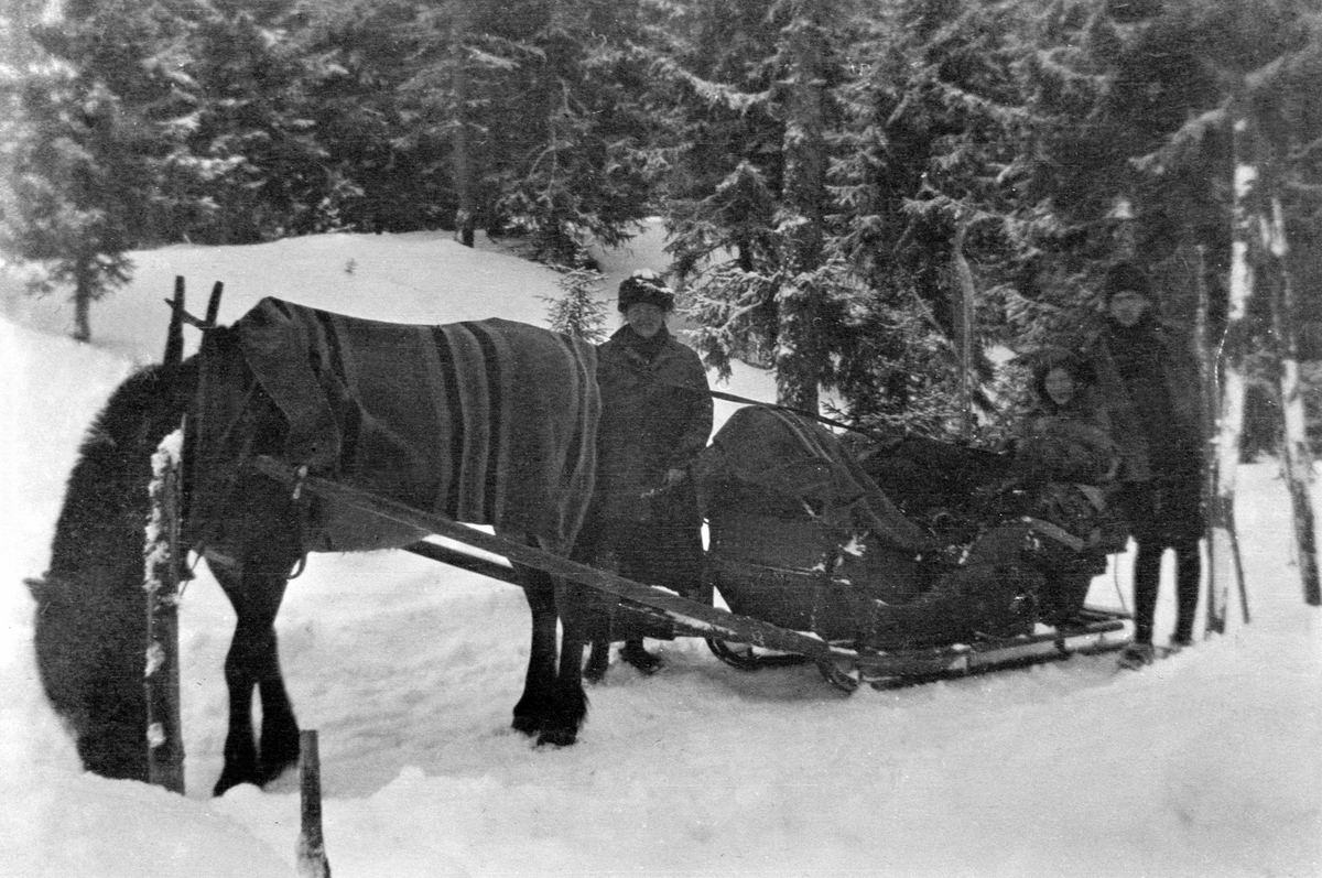 Anno Domkirkeodden, Tre voksne på fjelltur med hest og slede, ski og oppakning. Familien Løken fra Brumunddal.
