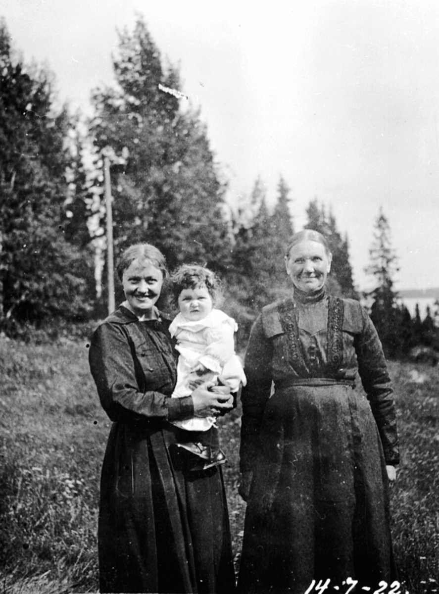 Anno Domkirkeodden, Familien Harkerud, Harkerud gård, Mesnalia, Ringsaker.