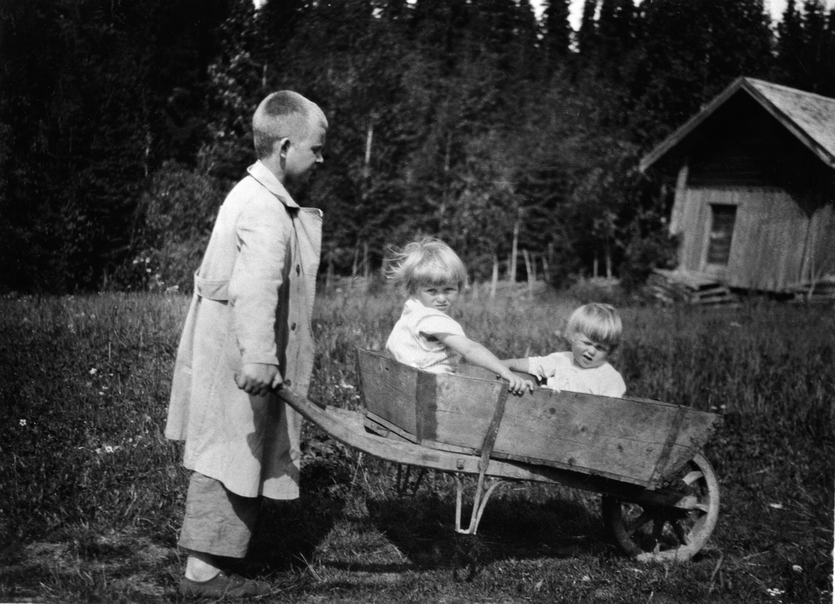 Anno Domkirkeodden, Tre barn leker med trillebår på Harkerud, Mesnalia. Ringsaker. Chr. Sundt triller Margrethe og Alf Løken.