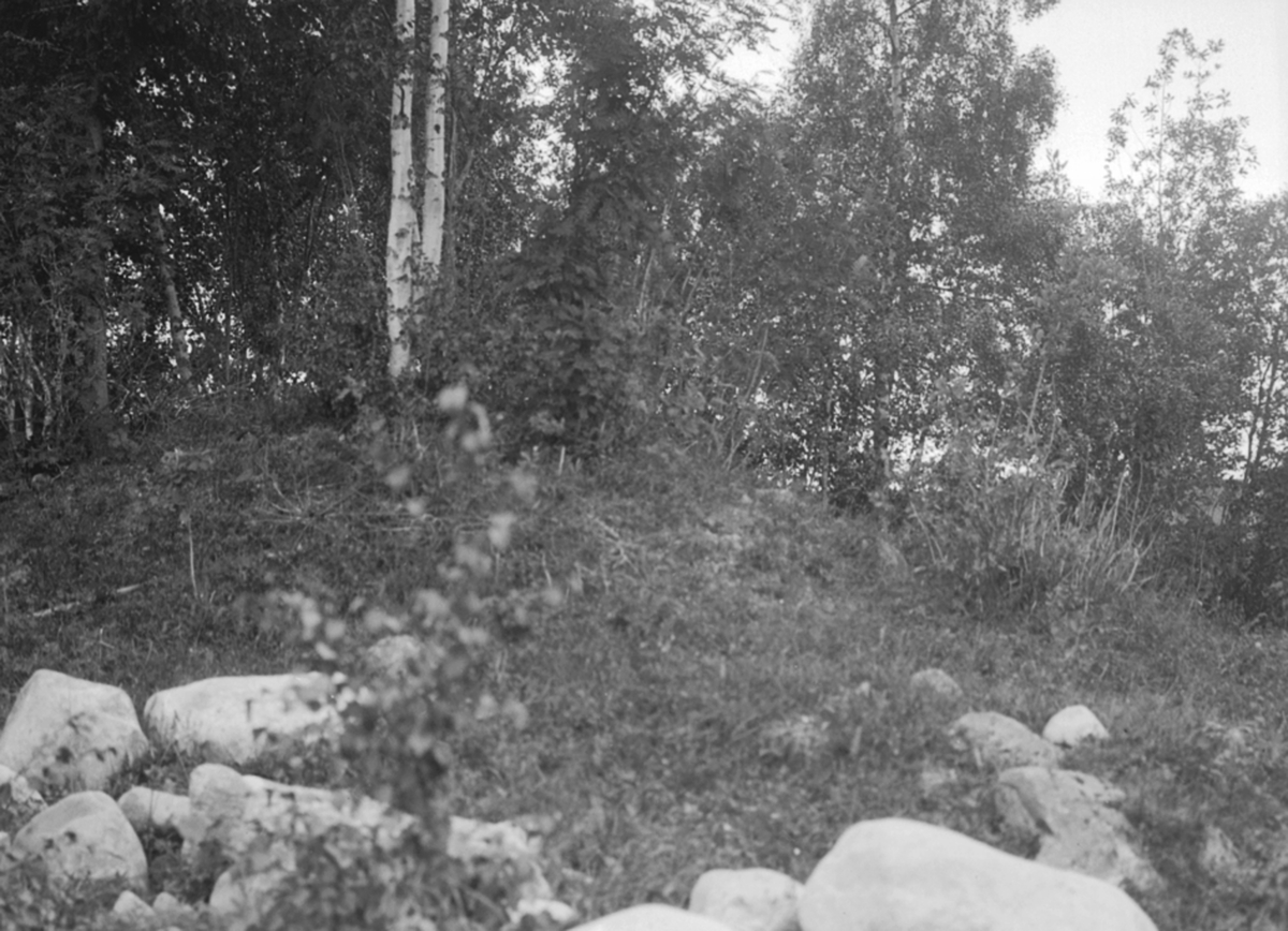 Anno Domkirkeodden, Historisk grav, gravhaug, Bjørge, Åsen, Furnes.