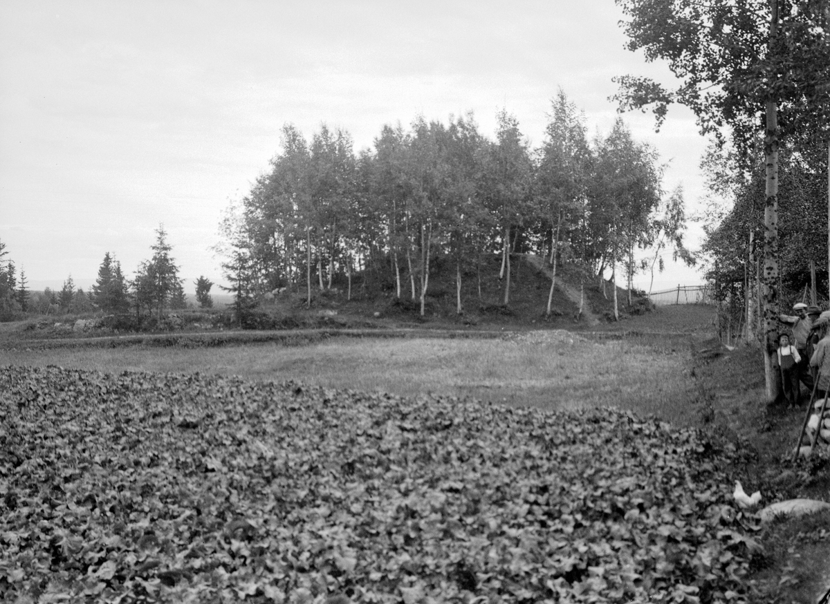 Anno Domkirkeodden, Historisk grav, gravhaug, Bjørge, Åsen, Furnes.