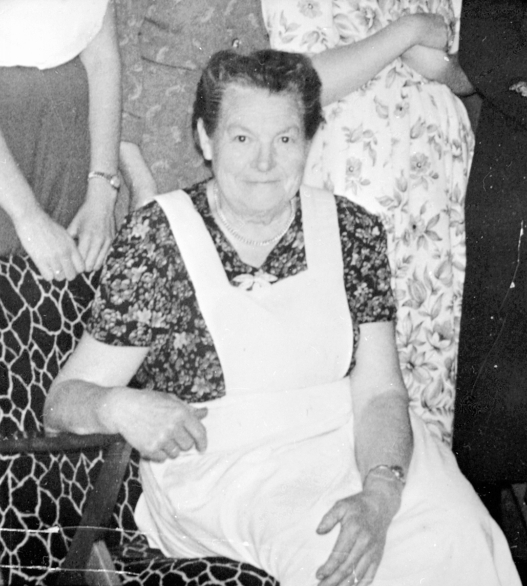 Anno Domkirkeodden, Anna Hauglien, Øverbygda, Nes.