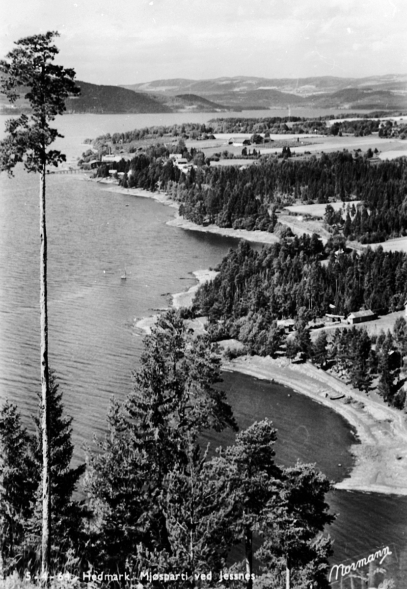Anno Domkirkeodden, Utsikt fra Furuberget over Furnesfjorden, Jessnes og Bangsberg.