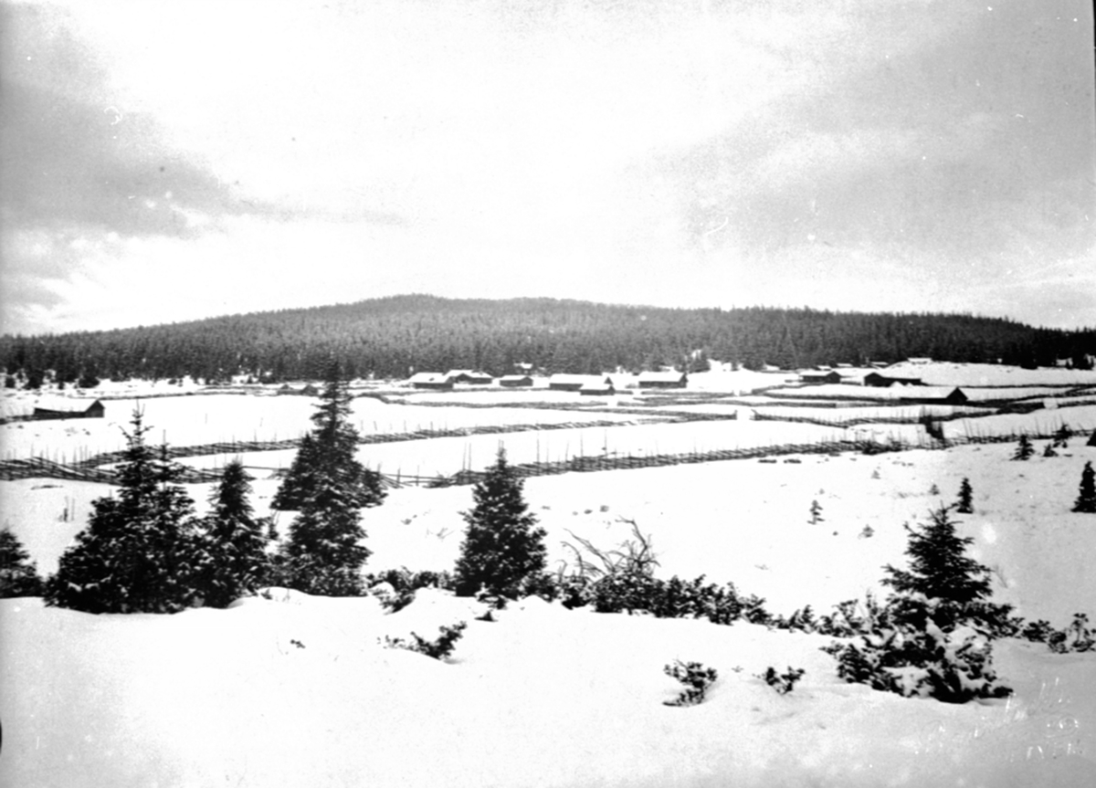 Anno Domkirkeodden, Oversikt Gammelskolla seter, setervang i Ringsakerfjellet. Vinter.