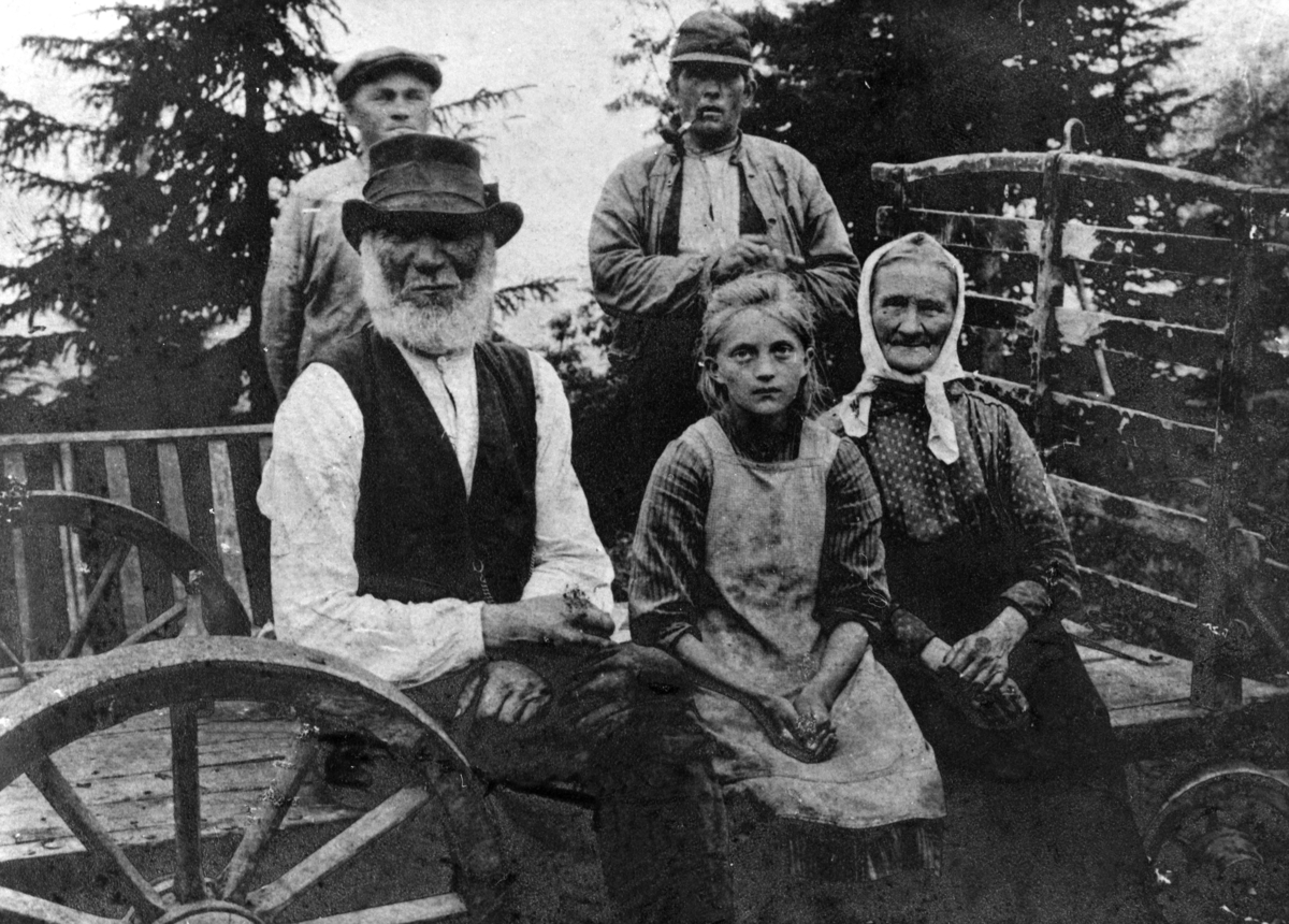 Anno Domkirkeodden, Slåttonn i Finnstua under Opsahl gård, Veldre, Ringsaker. Sittende i høykjerra er Idius Larsen Tranby f.1852, barnebarnet Ingeborg f.1908, Mathea Tranby f.1854. Bak er Lars Tranby, Johs. Molstadengen.