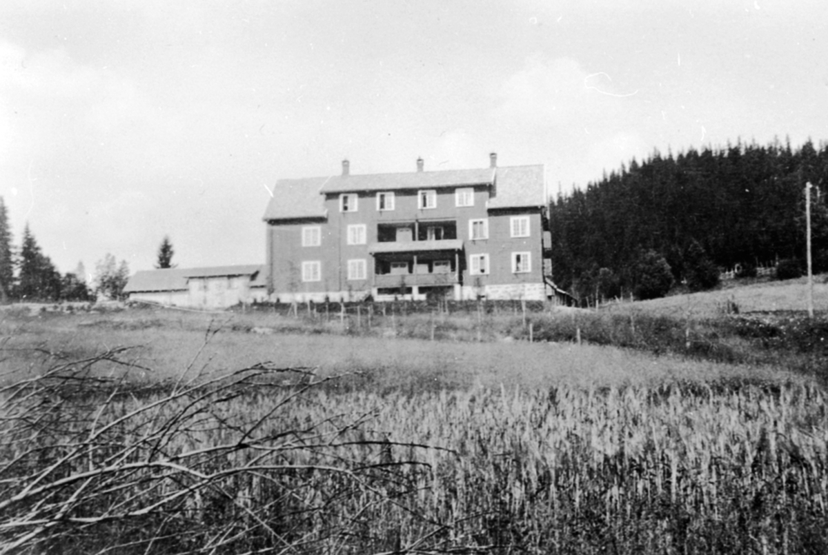 Anno Domkirkeodden, Bådshaugen pensjonat, Dalheim, Lismarka, Ringsaker. Bygd i 1922 og drevet som pensjonat til 1931, deretter tuberkulosesanatorium til det brant i 1952.