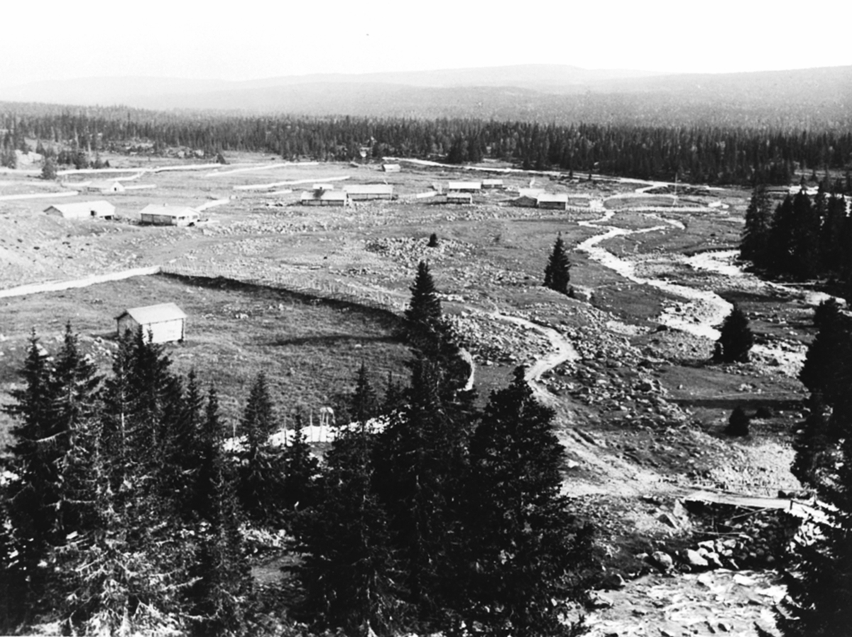 Anno Domkirkeodden, Fugleseng seter, Bogsti seter, setervanger på Gammelskolla i Philske sameie. 908m o. h.