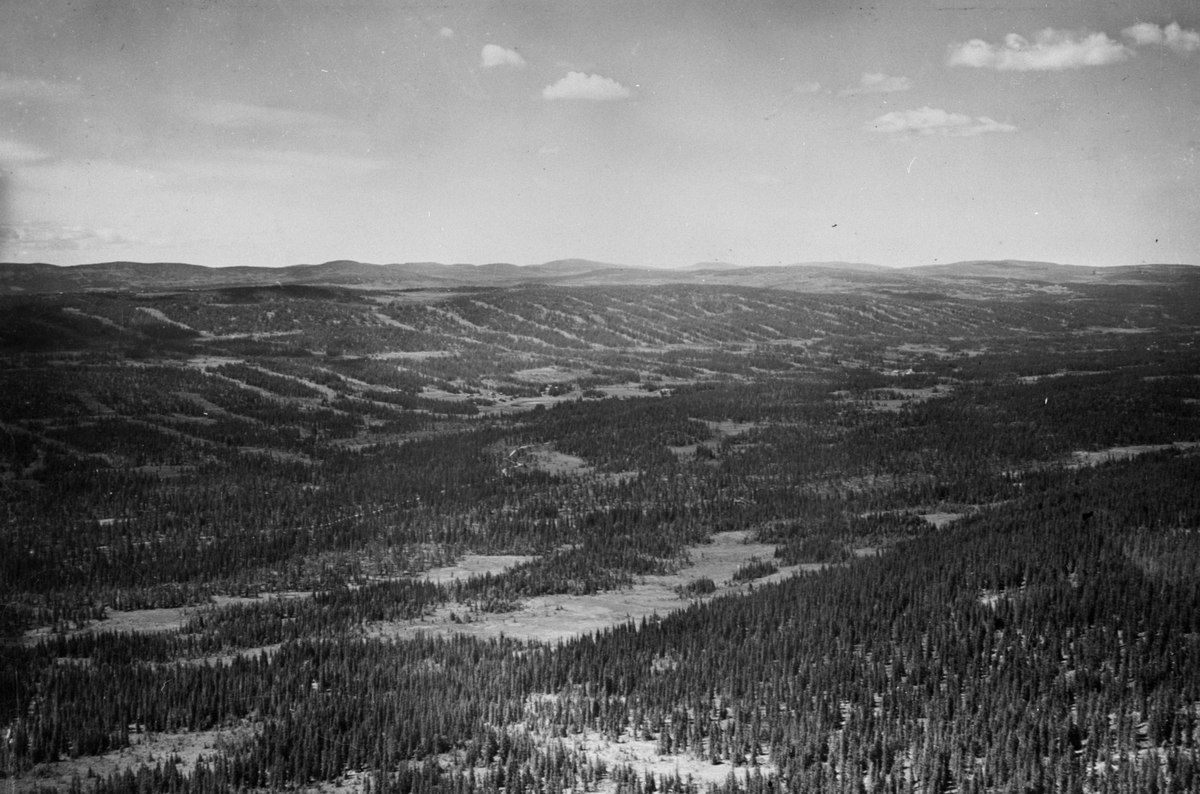 Anno Domkirkeodden, Flyfoto av Åstadalen, Ringsakerfjellet. Stripehogst.