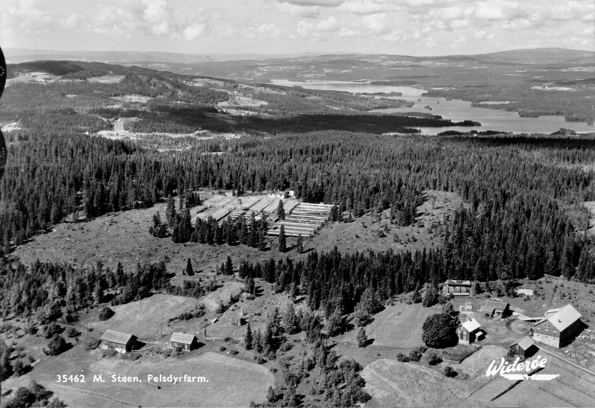 Anno Domkirkeodden, Flyfoto av M. Steens pelsdyrfarm på Gjendingen, Veldre, Ringsaker.