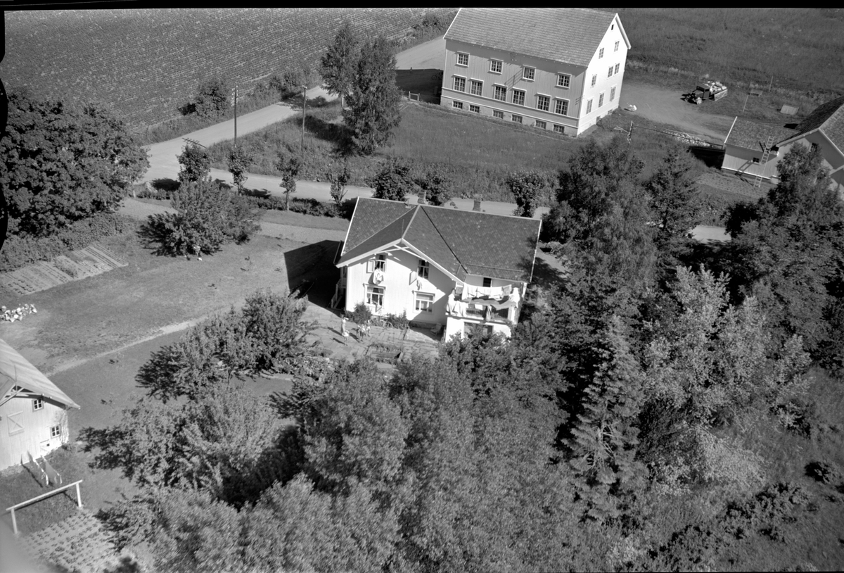 Anno Domkirkeodden, Flyfoto av Wiiks villa og Halvorsengården ved Tingvang, Ringsaker.