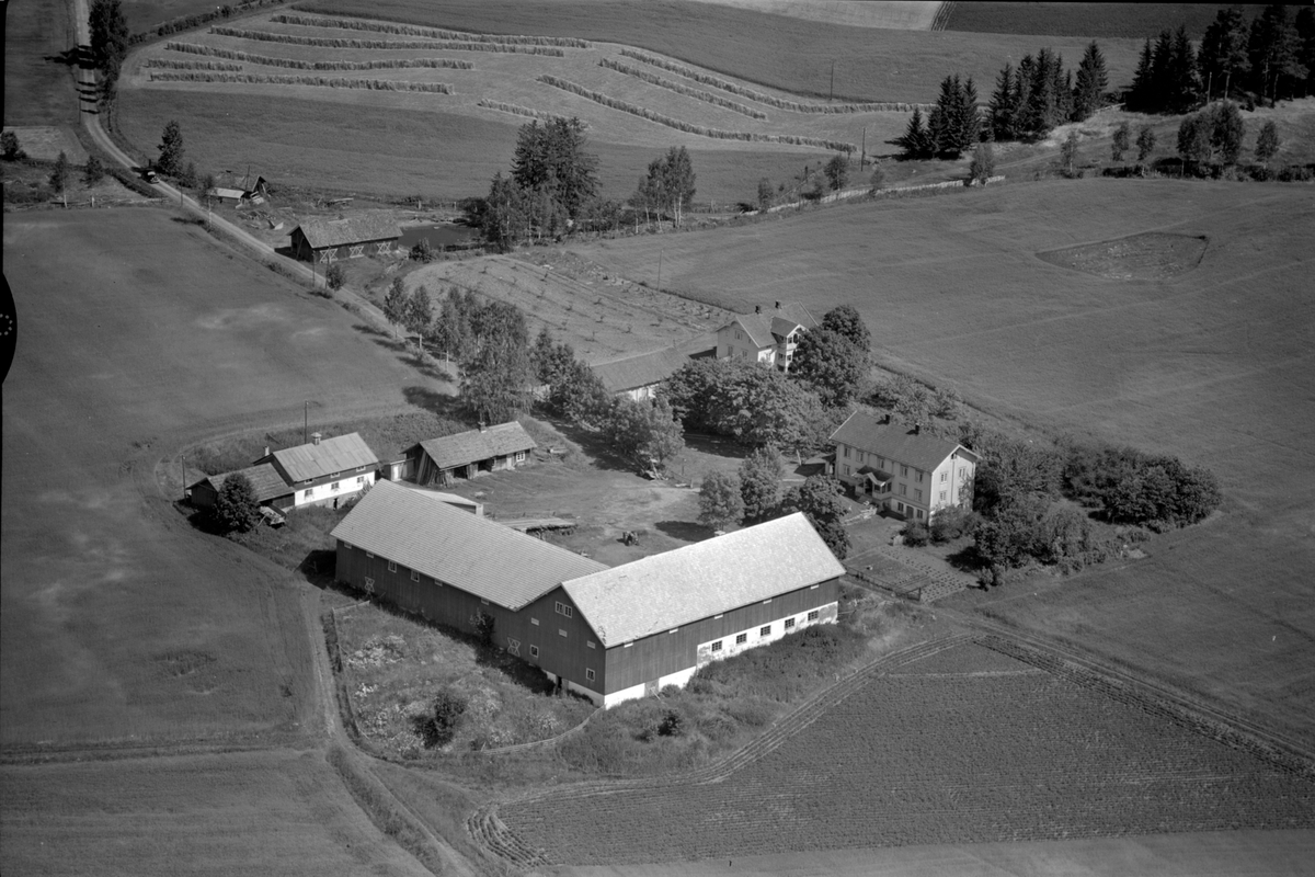 Anno Domkirkeodden, Flyfoto av Ulvilrud gard, Gaupen, Ringsaker.