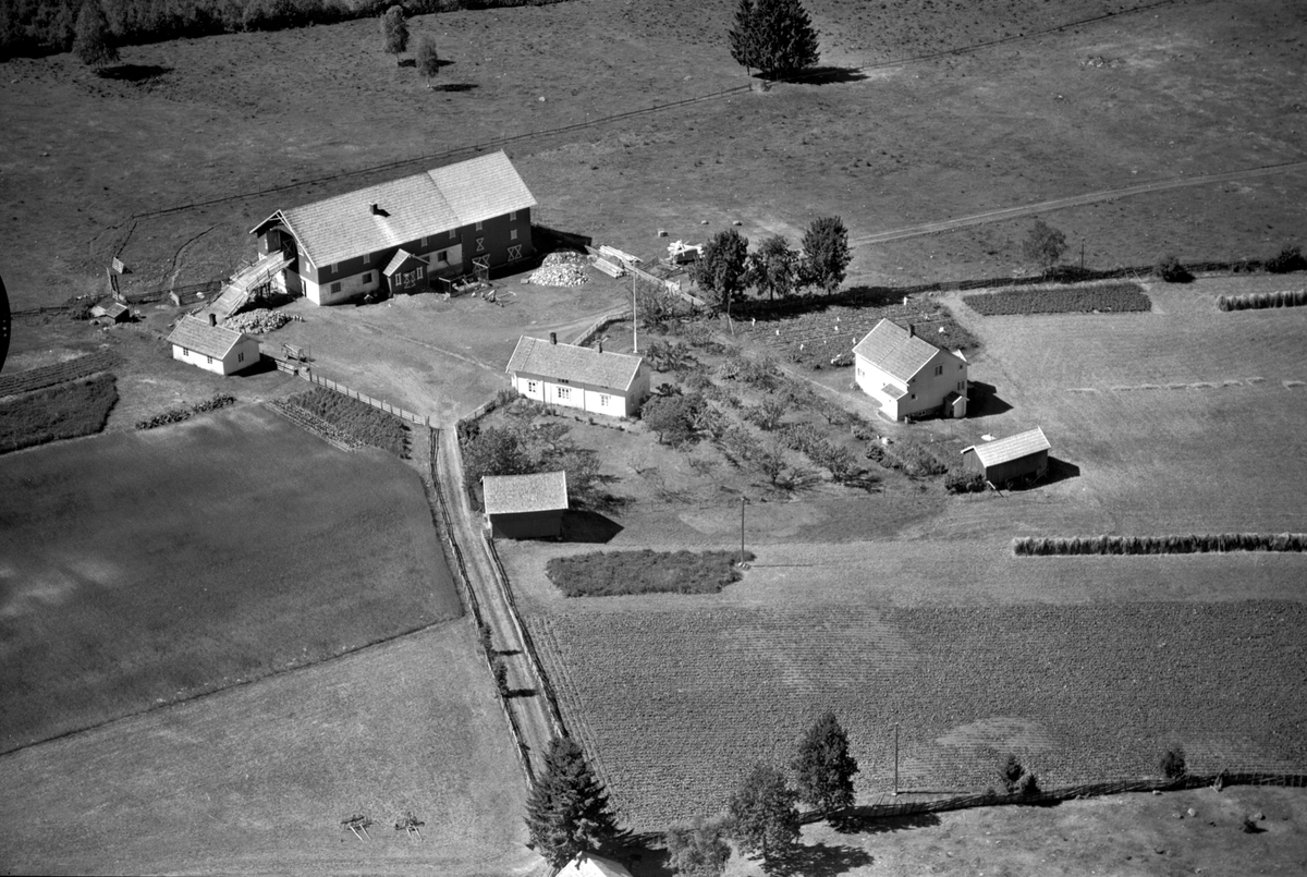 Anno Domkirkeodden, Flyfoto av Ødegård, Gaupen, Ringsaker.