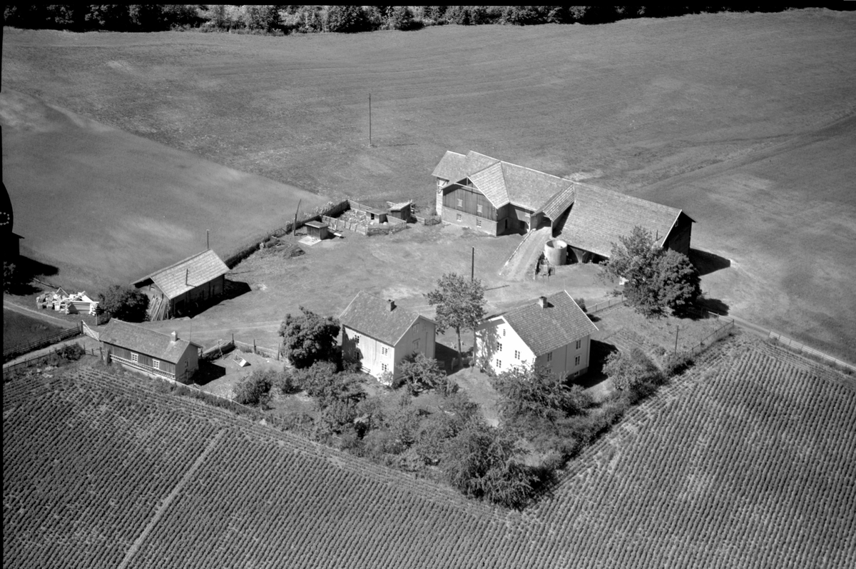 Anno Domkirkeodden, Flyfoto av Bordla gard, Gaupen, Ringsaker.