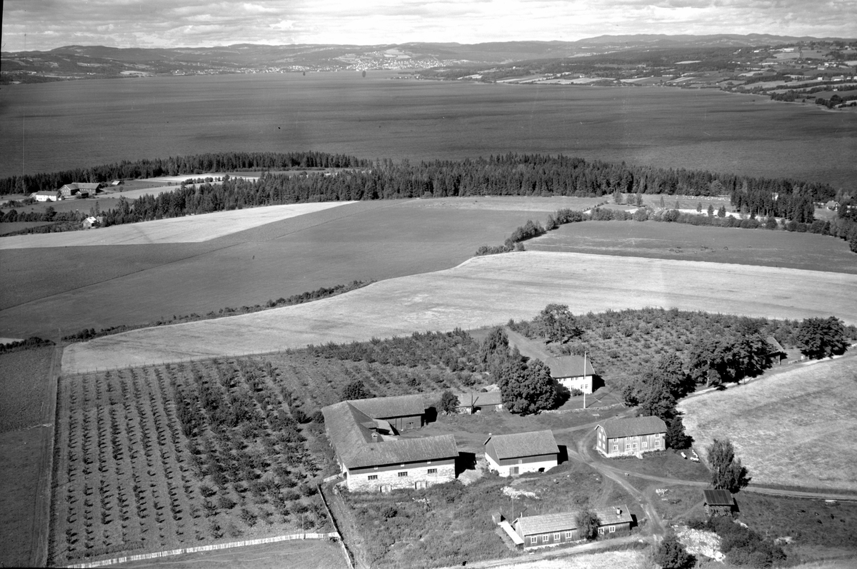 Anno Domkirkeodden, Flyfoto, gardsbruk, Svennerud, Helgøya, hage, Mjøsa, utsikt mot Gjøvik.