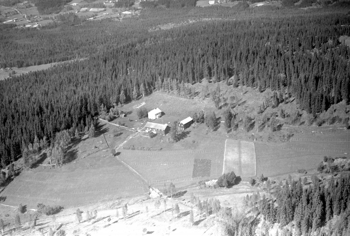 Anno Domkirkeodden, Flyfoto av ukjent gard, Næroset, Ringsaker.