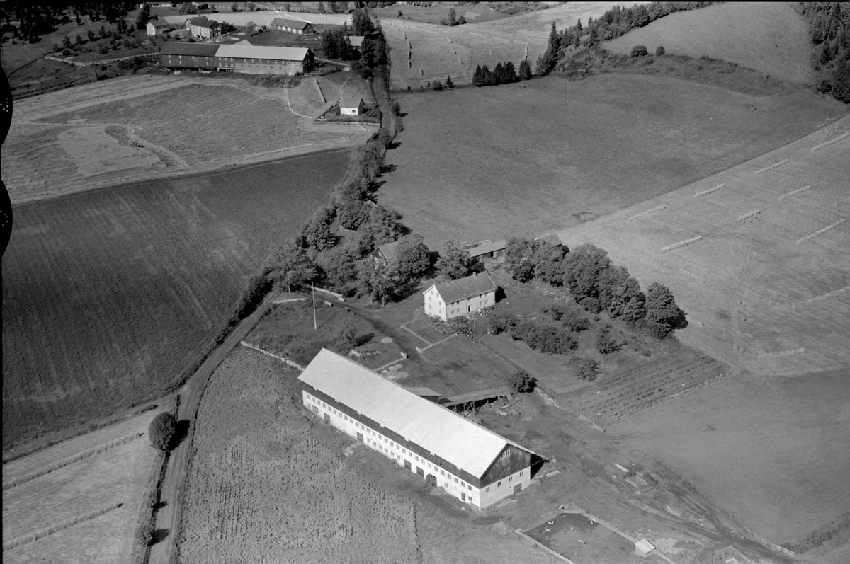 Anno Domkirkeodden, Flyfoto av Mælum gard, Ringsaker.