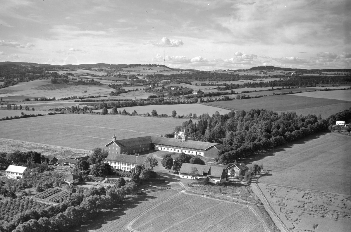 Anno Domkirkeodden, Flyfoto, gardsbruk, hagebruk, Hoel, Nes, Hedmark.