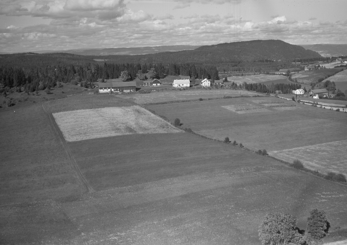 Anno Domkirkeodden, Flyfoto, gardsbruk, Berg øvre, Nes, Hedmark.