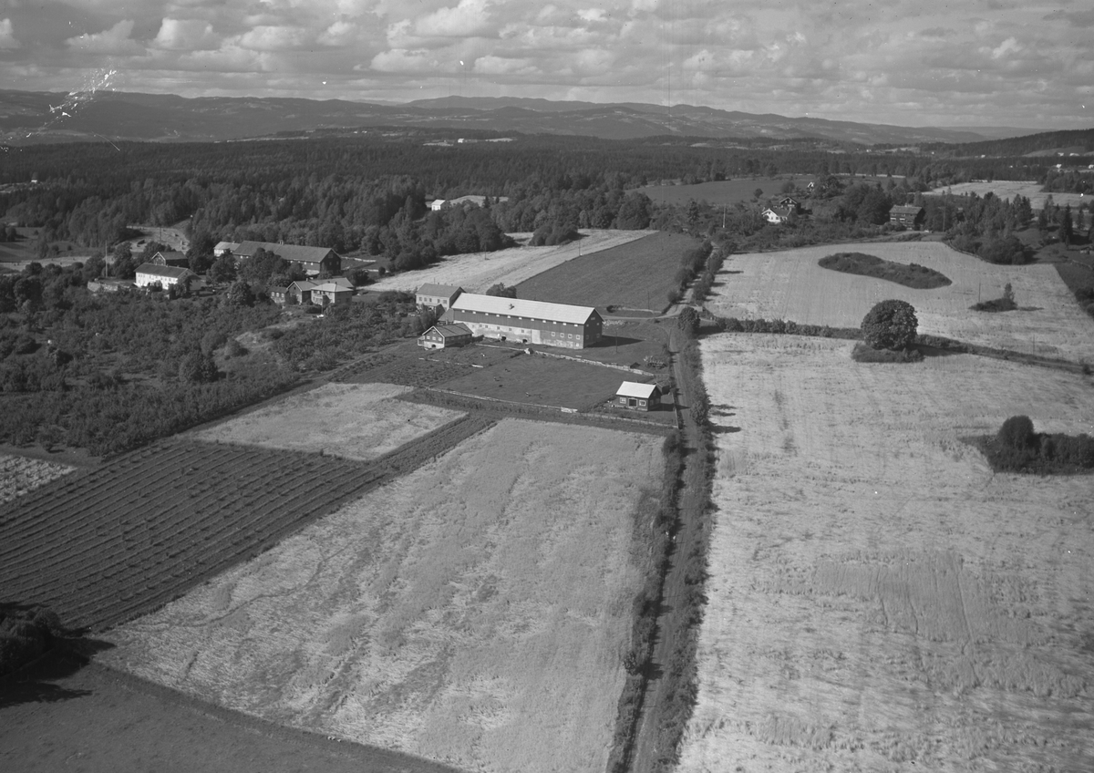 Anno Domkirkeodden, Flyfoto, gardsbruk, Aske østre, Nes, Hedmark.