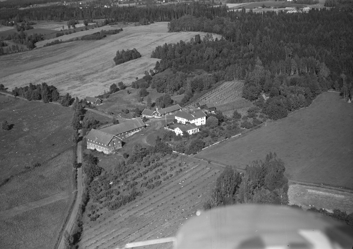 Anno Domkirkeodden, Flyfoto av Mengshoel gard, Nes, Hedmark.