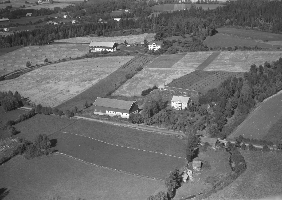 Anno Domkirkeodden, Flyfoto Lie nedre, Nes, Hedmark.