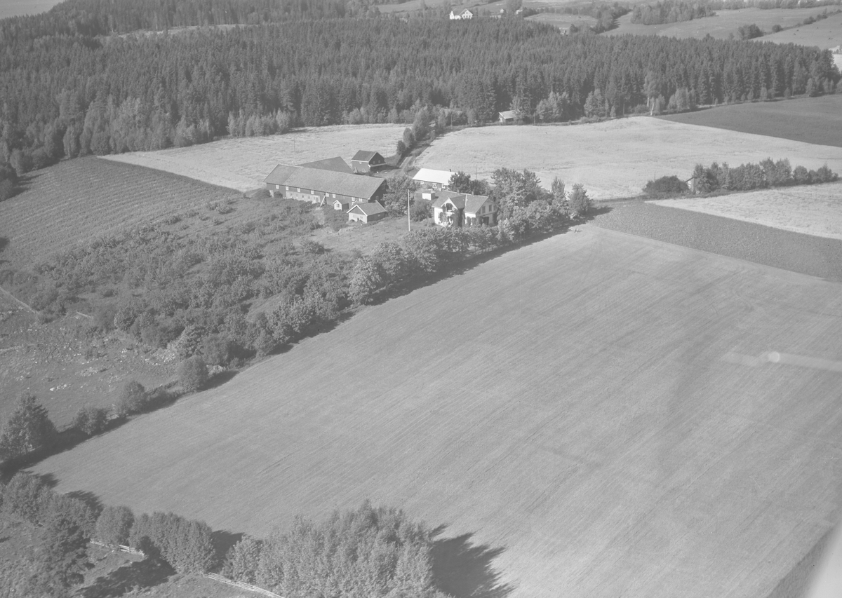 Anno Domkirkeodden, Flyfoto, gardsbruk, Kongsrud, Nes, Hedmark.