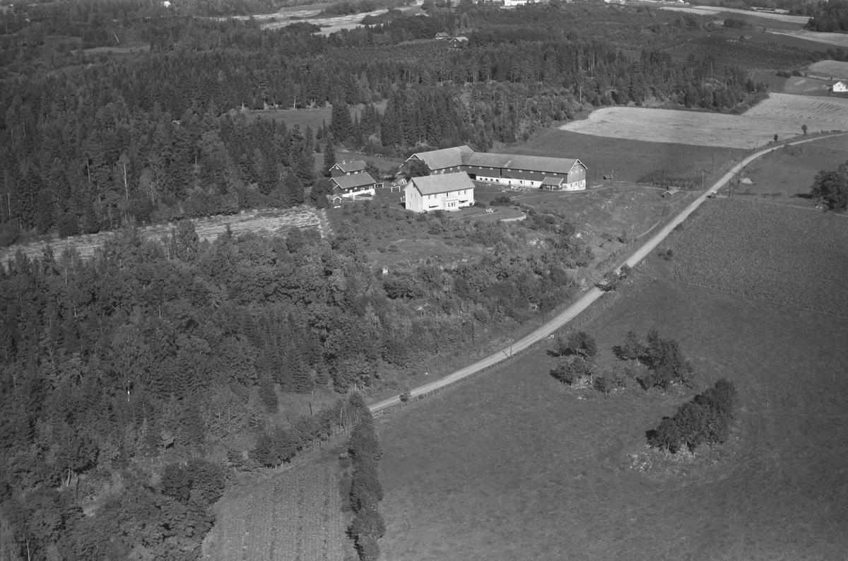 Anno Domkirkeodden, Flyfoto, gardsbruk, Gjestvang øvre, Nes, Hedmark.