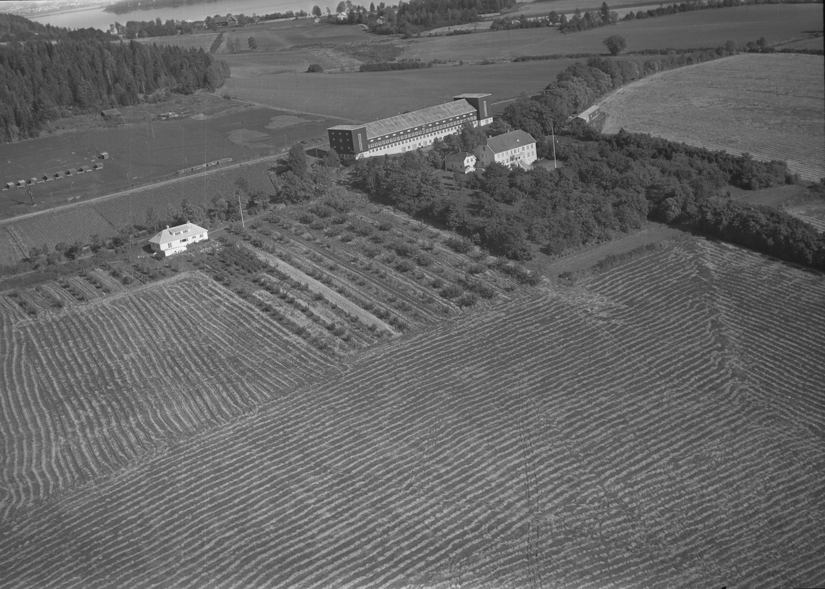 Anno Domkirkeodden, Flyfoto, gardsbruk, Hovelsrud, Helgøya.