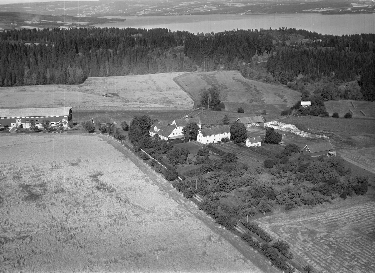 Anno Domkirkeodden, Flyfoto av Eik gard, Helgøya.