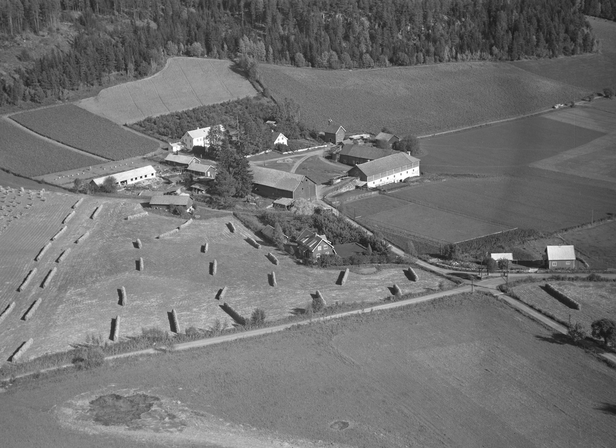 Anno Domkirkeodden, Flyfoto, gardsbruk, hesjer, Kvam, Nes, Hedmark.