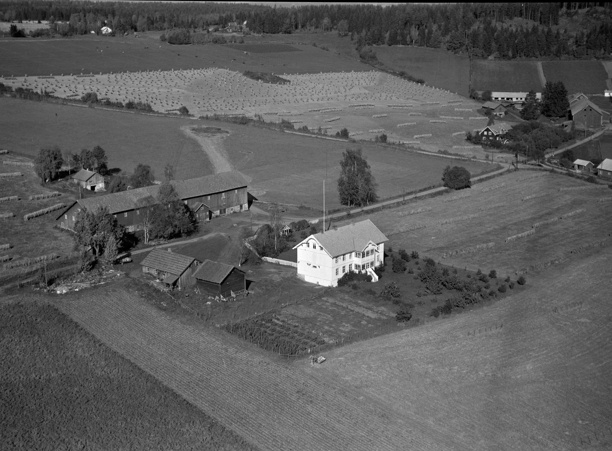 Anno Domkirkeodden, Flyfoto, gardsbruk, Ousdal nedre, Nes, Hedmark.