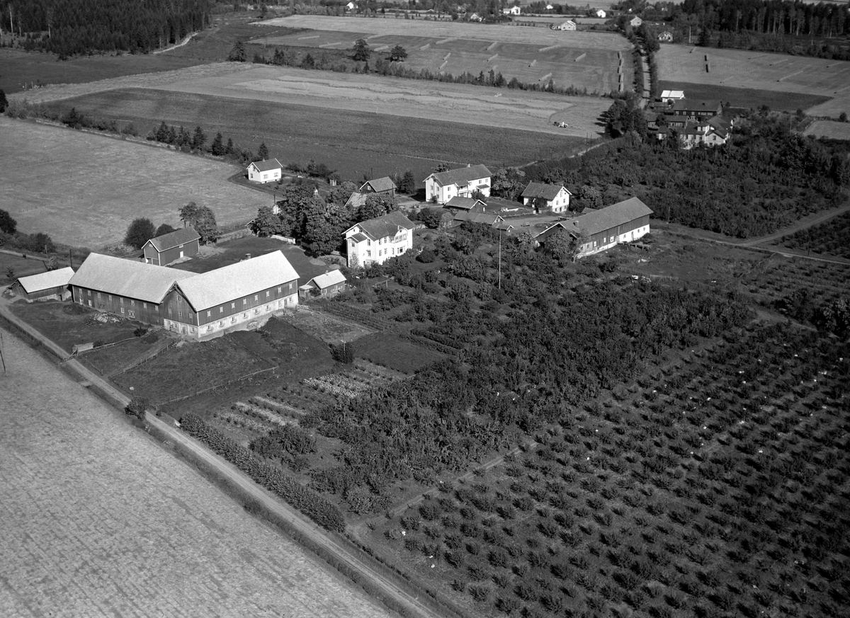 Anno Domkirkeodden, Flyfoto, gardsbruk, hagebruk, Mølstad, Nes, Hedmark.